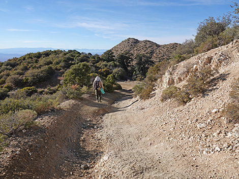 Upper Upper Nickel Canyon Road