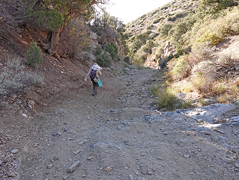 Upper Upper Nickel Canyon Road