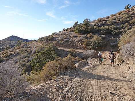 Upper Upper Nickel Canyon Road