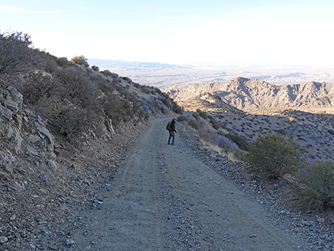 Upper Upper Nickel Canyon Road