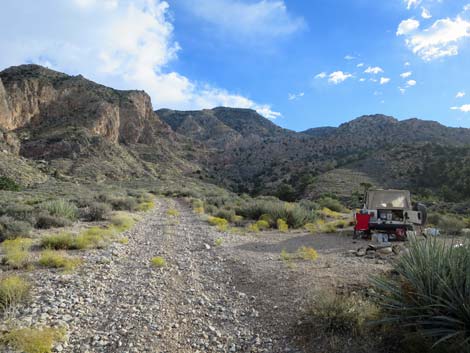 Cabin Spring Canyon Road