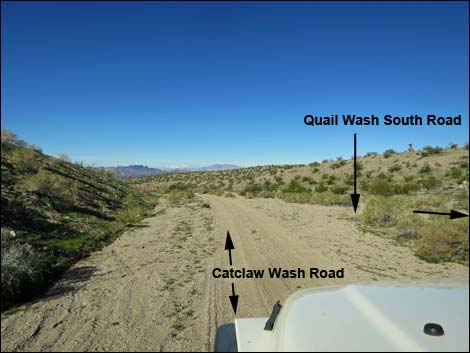 Catclaw Wash Road