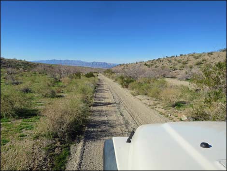 Catclaw Wash Road