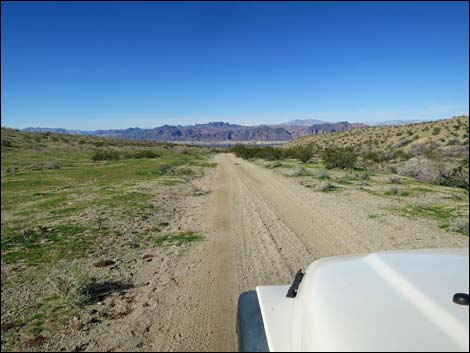 Catclaw Wash Road