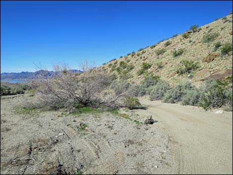 Catclaw Wash Road