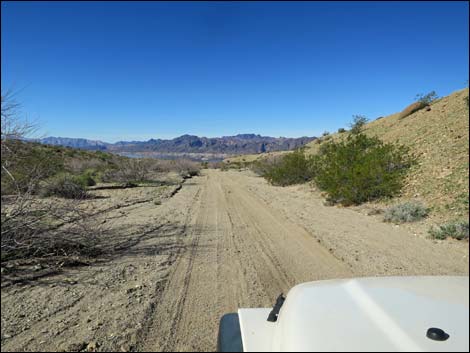 Catclaw Wash Road