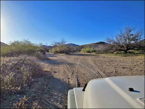 Cedar Basin Road