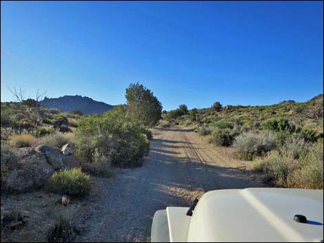 Cedar Basin Road