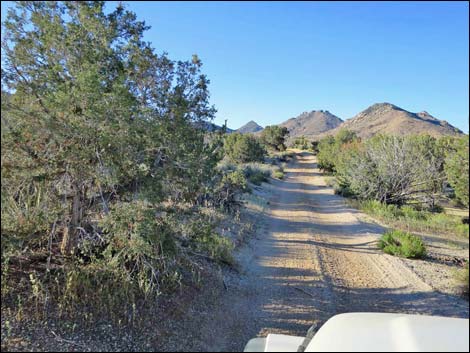 Cedar Basin Road