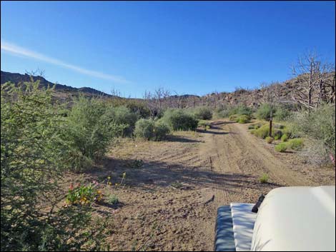 Cedar Basin Road