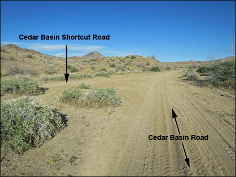 Cedar Basin Road