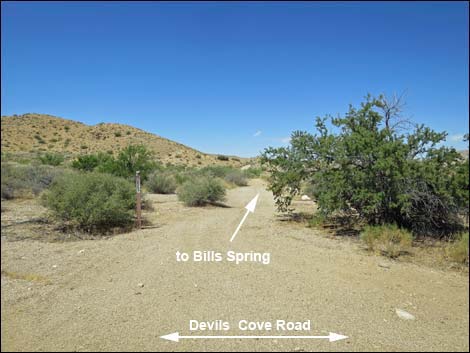 Devils Cove Road