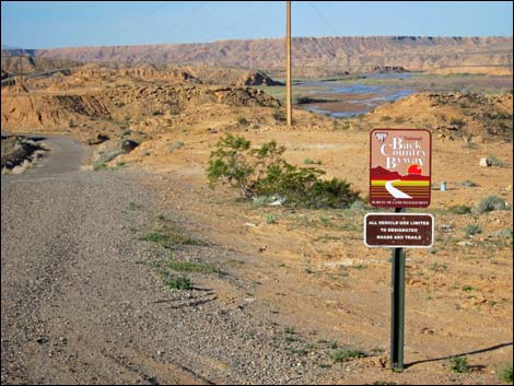 Gold Butte Backcountry Byway