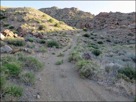 Gold Butte Peak Road