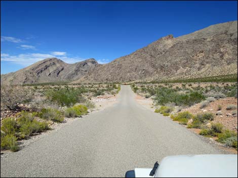 Gold Butte Road