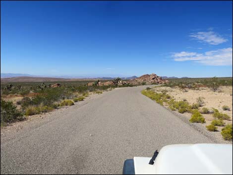 Gold Butte Road