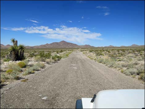 Gold Butte Road