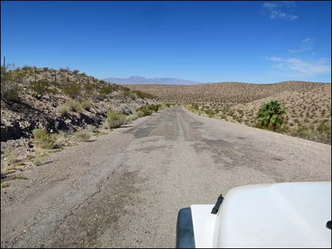 Gold Butte Road