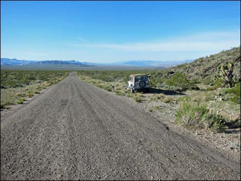 Gold Butte Road