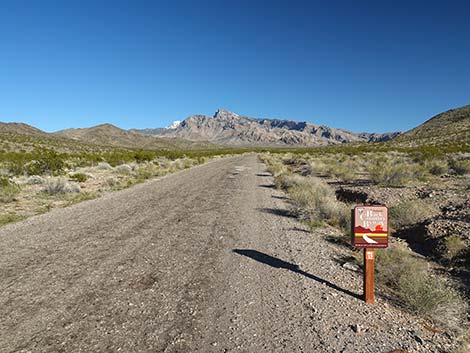 gold butte road