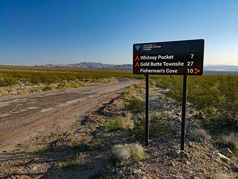 gold butte road