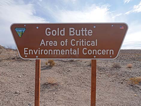 Gold Butte Road