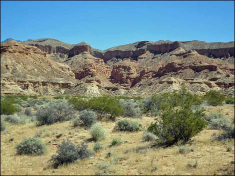 Gold Butte Road