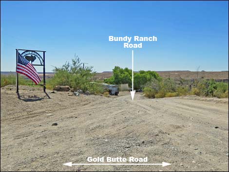 Gold Butte Road