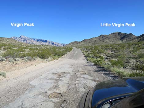 Gold Butte Road