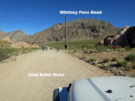 Gold Butte Road