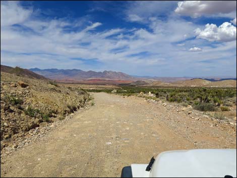 Gold Butte Road