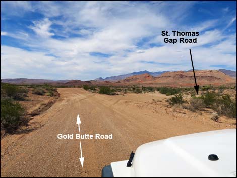 Gold Butte Road