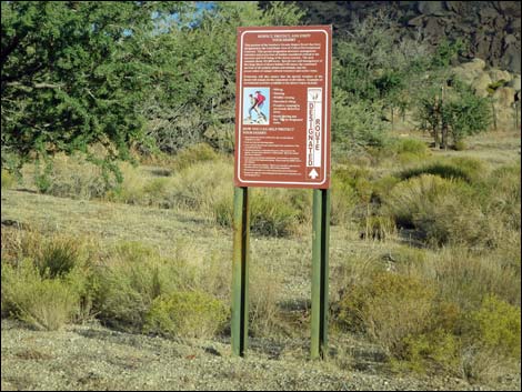 Gold Butte Road