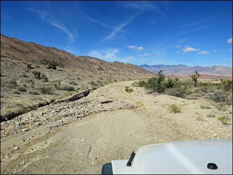 Gold Butte Road