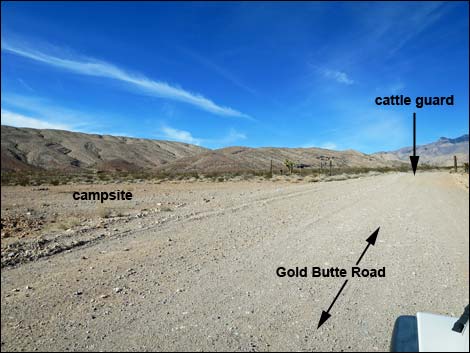 Gold Butte Road