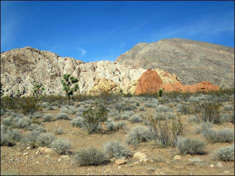 Gold Butte Road