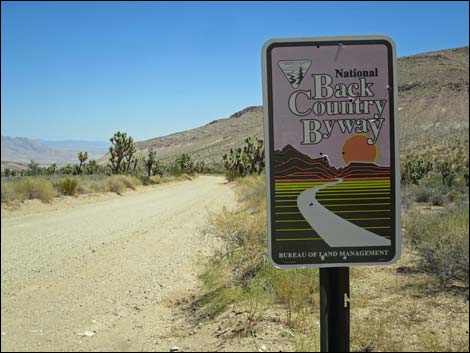 Gold Butte Road