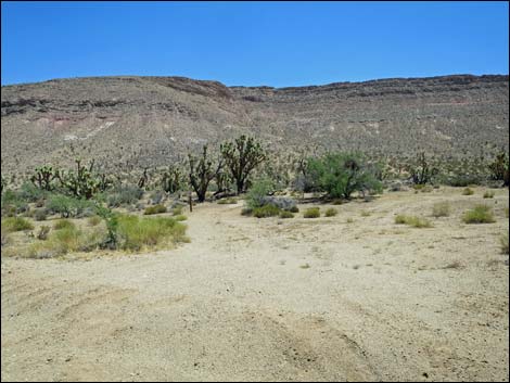 Gold Butte Road