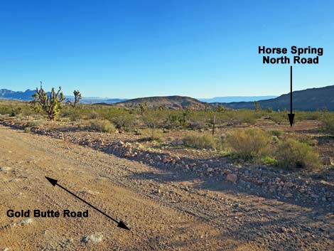 Gold Butte Road