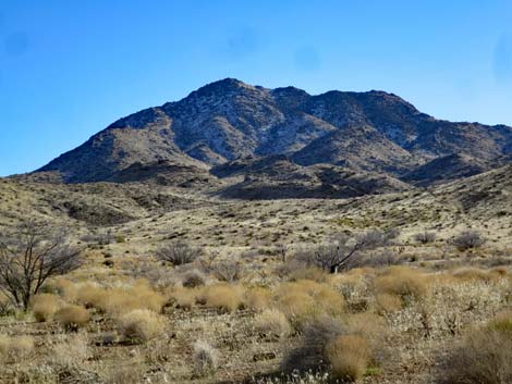 Gold Butte Road