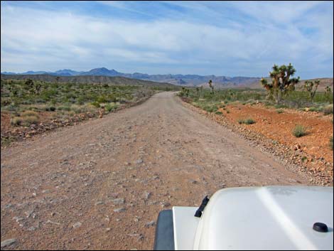 Gold Butte Road