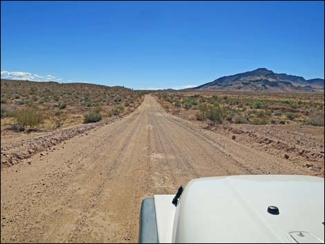 Gold Butte Road