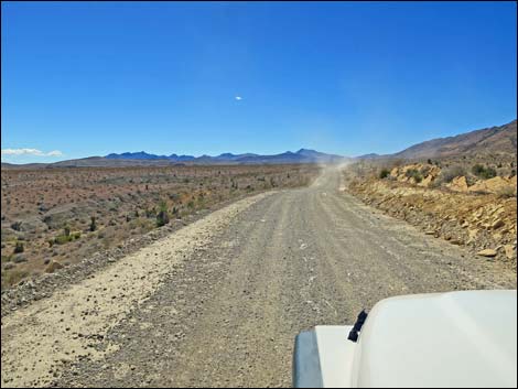 Gold Butte Road