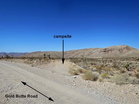 Gold Butte Road