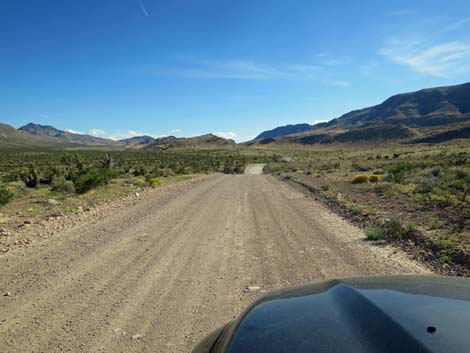 Gold Butte Road