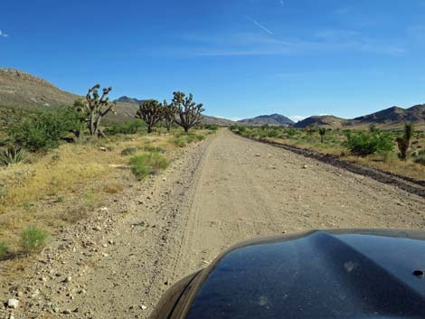 Gold Butte Road