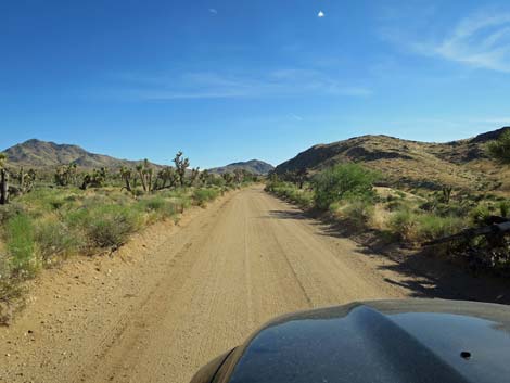 Gold Butte Road