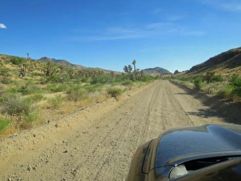 Gold Butte Road