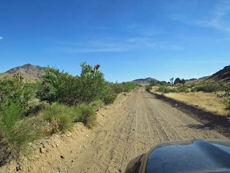 Gold Butte Road