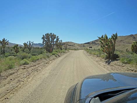 Gold Butte Road